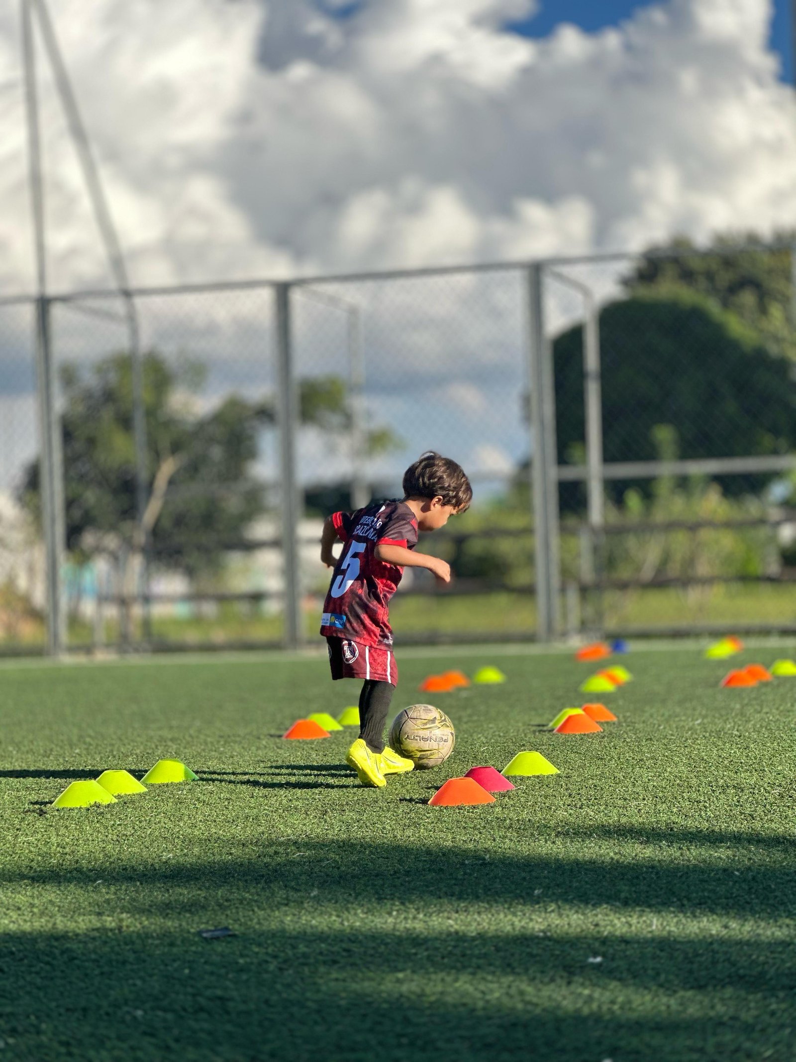 Mobirise Website Builder