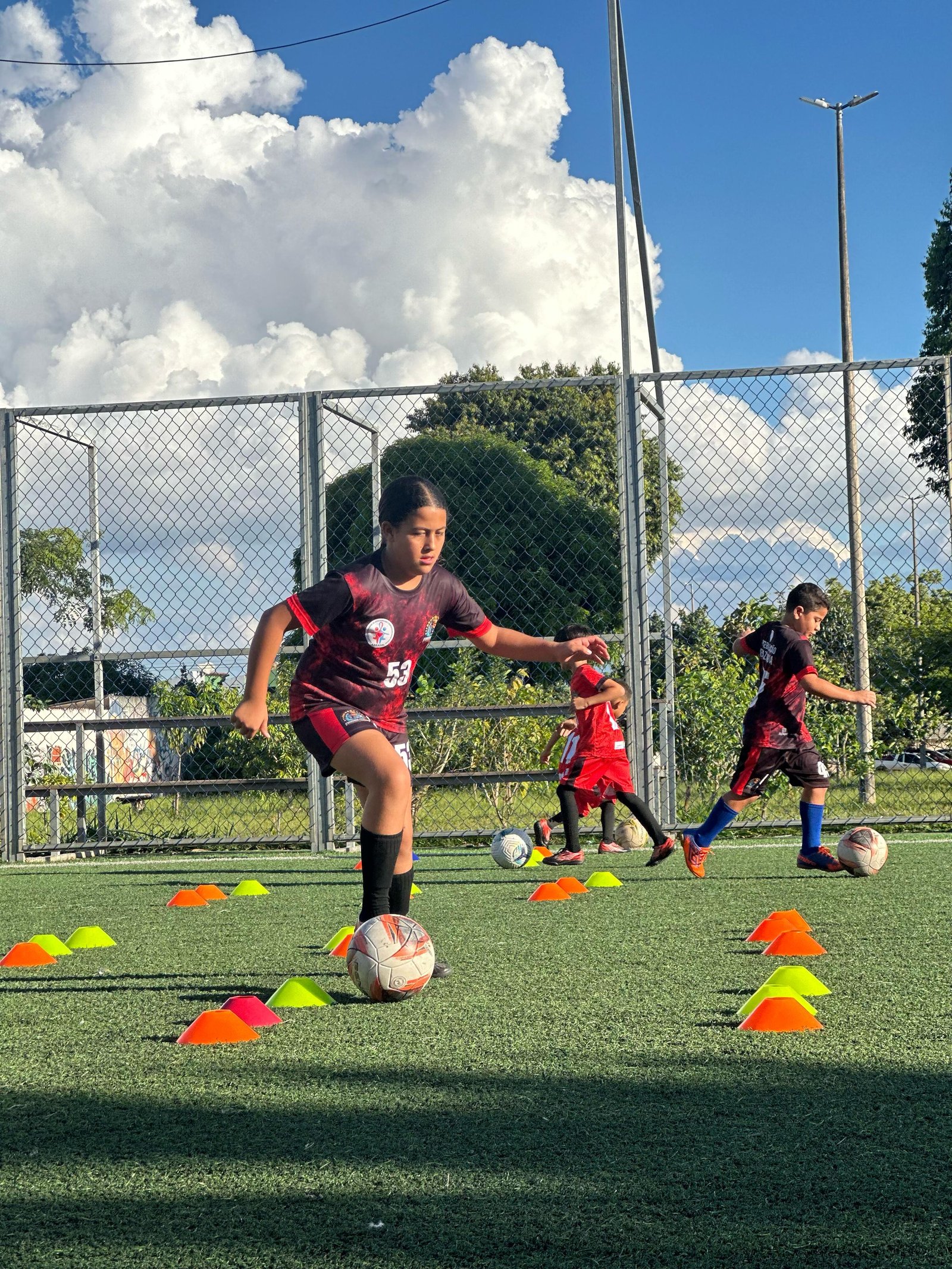 Mobirise Website Builder